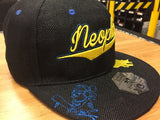 Neophile SnapBack by Grassroots